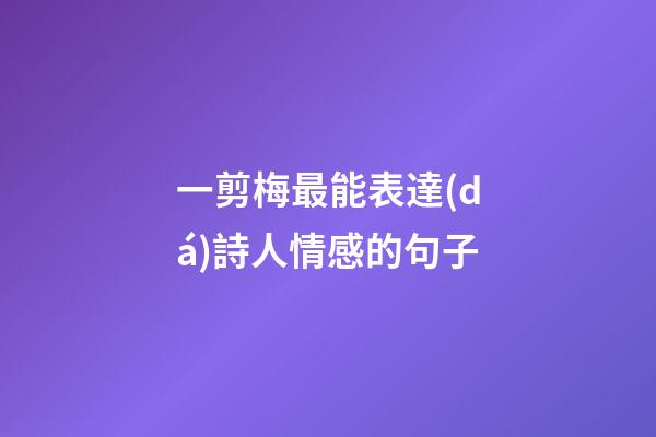 一剪梅最能表達(dá)詩人情感的句子