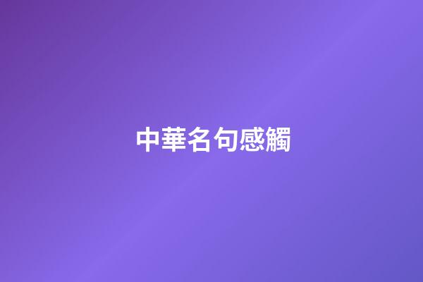 中華名句感觸