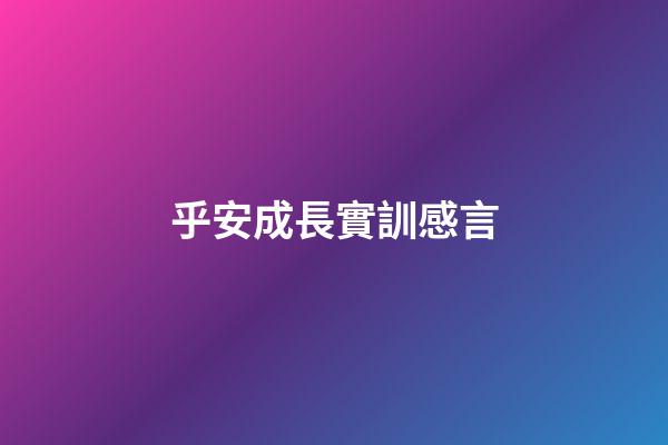 乎安成長實訓感言