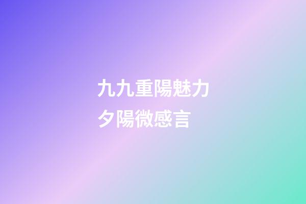 九九重陽魅力夕陽微感言