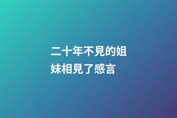 二十年不見的姐妹相見了感言