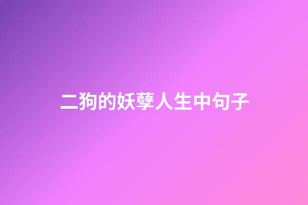 二狗的妖孽人生中句子