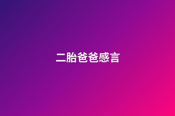 二胎爸爸感言