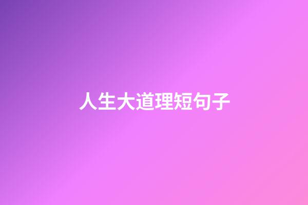 人生大道理短句子