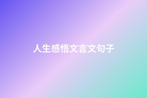 人生感悟文言文句子