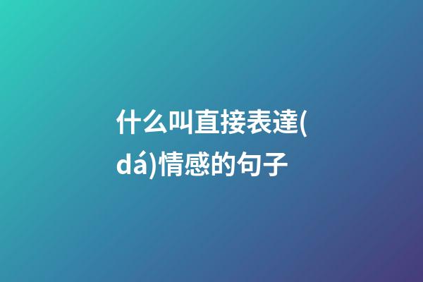 什么叫直接表達(dá)情感的句子