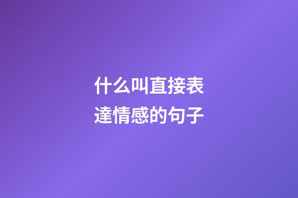 什么叫直接表達情感的句子