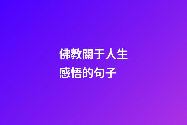 佛教關于人生感悟的句子