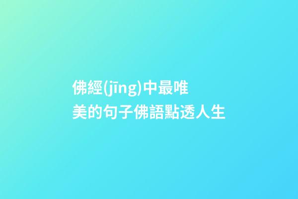 佛經(jīng)中最唯美的句子佛語點透人生