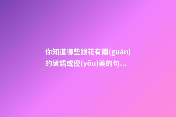 你知道哪些跟花有關(guān)的諺語或優(yōu)美的句子