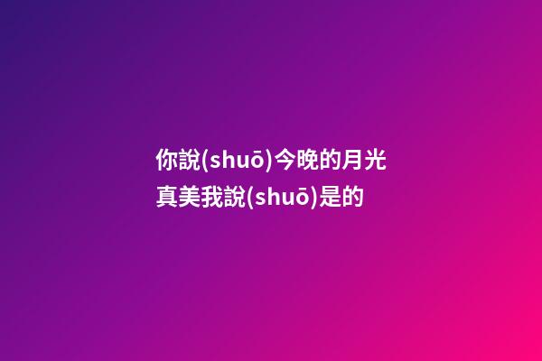 你說(shuō)今晚的月光真美我說(shuō)是的