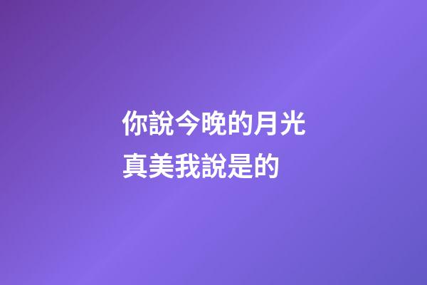 你說今晚的月光真美我說是的