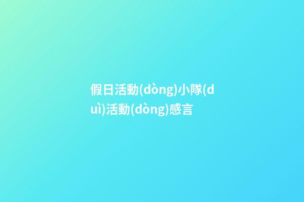 假日活動(dòng)小隊(duì)活動(dòng)感言