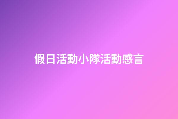 假日活動小隊活動感言