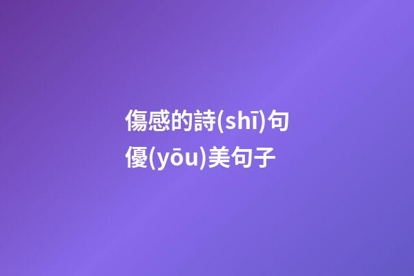 傷感的詩(shī)句優(yōu)美句子