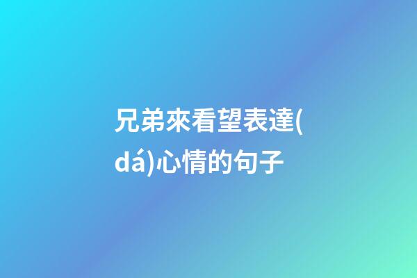 兄弟來看望表達(dá)心情的句子
