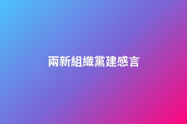 兩新組織黨建感言