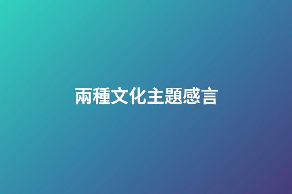 兩種文化主題感言