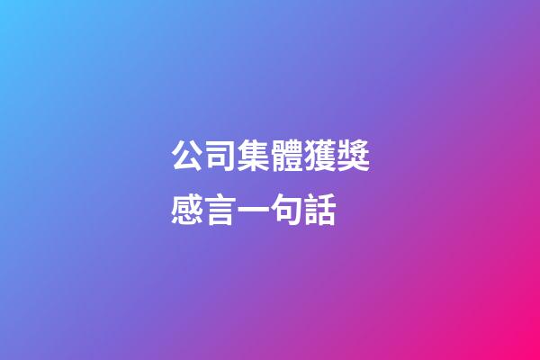 公司集體獲獎感言一句話