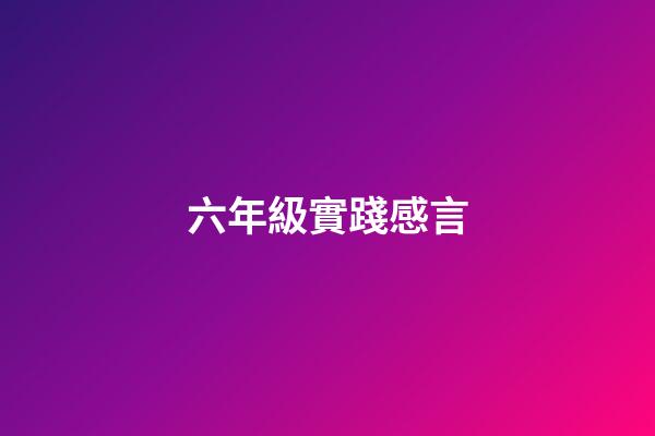 六年級實踐感言