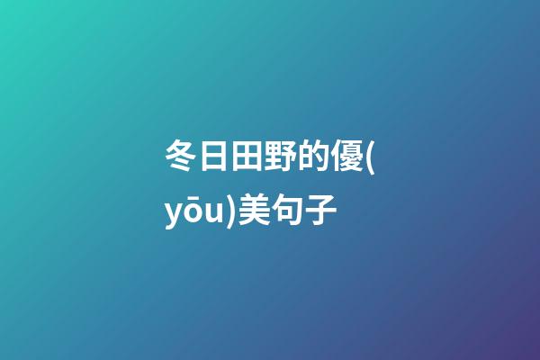 冬日田野的優(yōu)美句子
