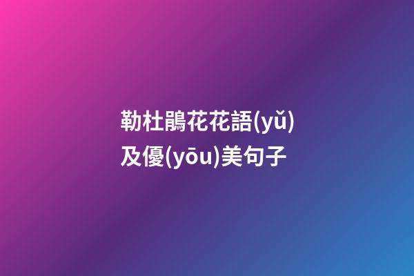 勒杜鵑花花語(yǔ)及優(yōu)美句子