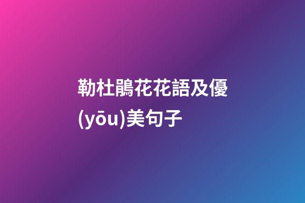 勒杜鵑花花語及優(yōu)美句子