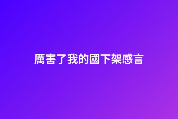 厲害了我的國下架感言