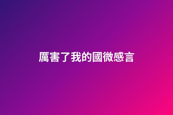 厲害了我的國微感言