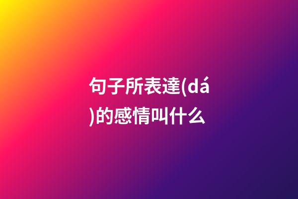句子所表達(dá)的感情叫什么