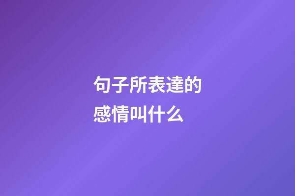 句子所表達的感情叫什么