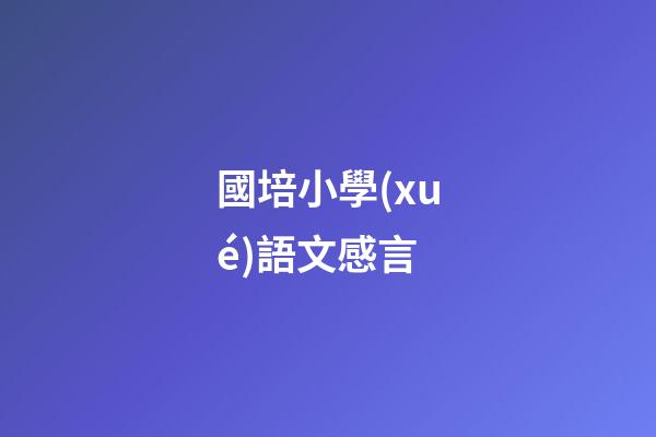 國培小學(xué)語文感言