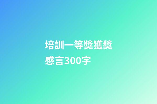 培訓一等獎獲獎感言300字