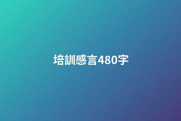 培訓感言480字