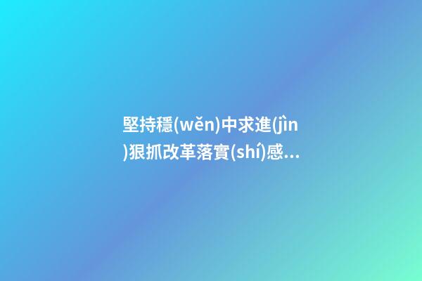 堅持穩(wěn)中求進(jìn)狠抓改革落實(shí)感言