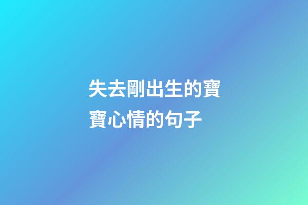 失去剛出生的寶寶心情的句子