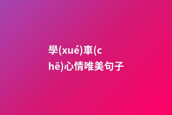 學(xué)車(chē)心情唯美句子