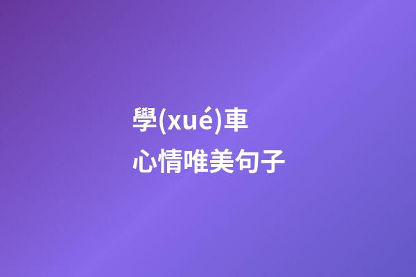 學(xué)車心情唯美句子