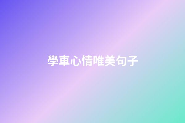 學車心情唯美句子