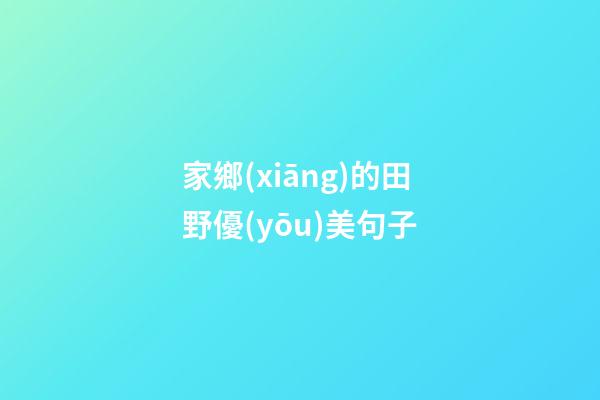 家鄉(xiāng)的田野優(yōu)美句子
