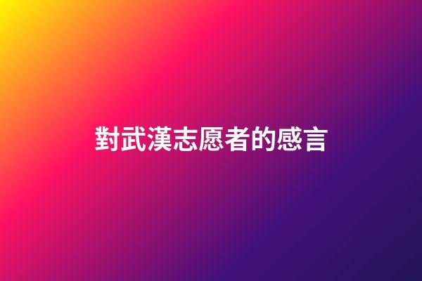 對武漢志愿者的感言
