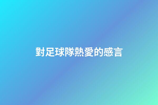 對足球隊熱愛的感言
