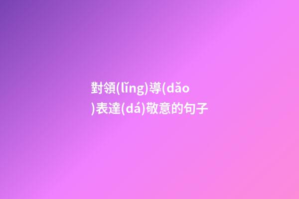 對領(lǐng)導(dǎo)表達(dá)敬意的句子