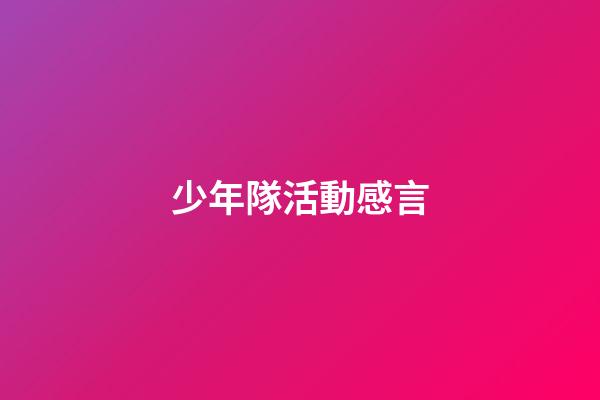 少年隊活動感言