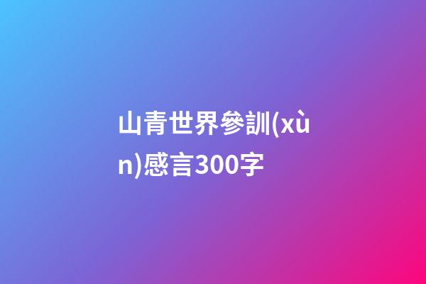 山青世界參訓(xùn)感言300字