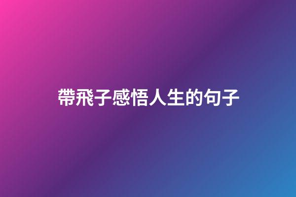 帶飛子感悟人生的句子