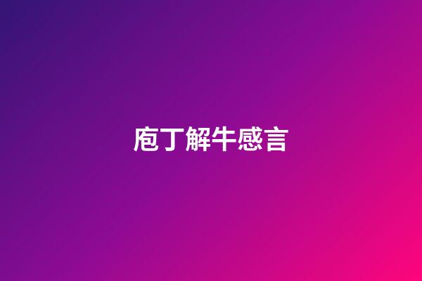 庖丁解牛感言