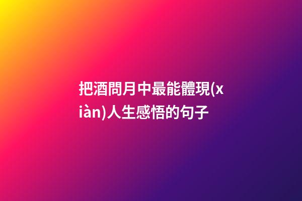 把酒問月中最能體現(xiàn)人生感悟的句子