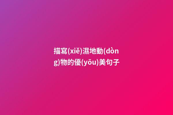 描寫(xiě)濕地動(dòng)物的優(yōu)美句子