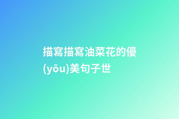 描寫描寫油菜花的優(yōu)美句子世